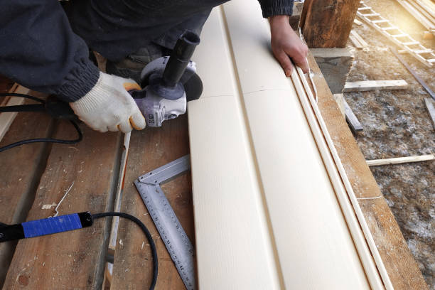 Best Vinyl Siding Installation  in Oracle, AZ
