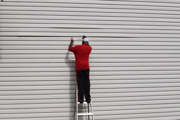 Best Siding Painting and Refinishing  in Oracle, AZ