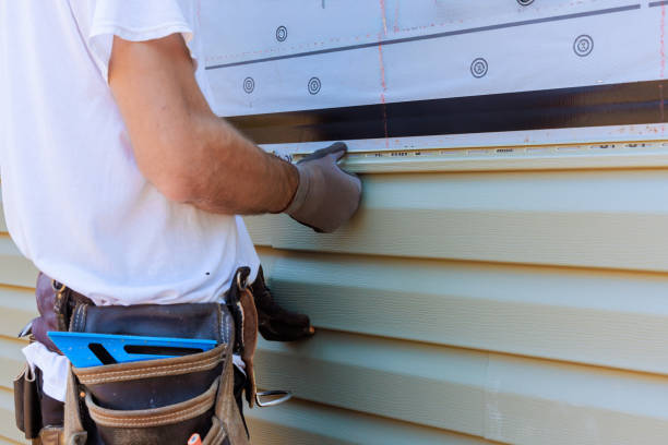 Best Insulated Siding Installation  in Oracle, AZ